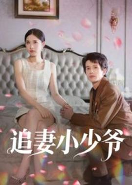 追妻小少爷封面图