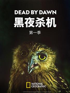 黑夜杀机第一季封面图