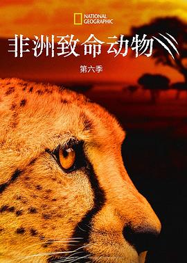 非洲致命动物第六季封面图