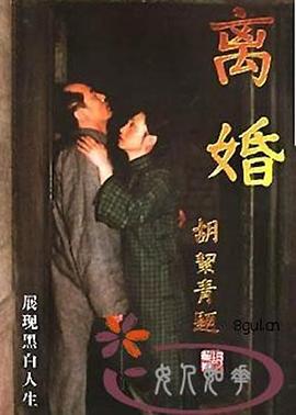离婚1999封面图