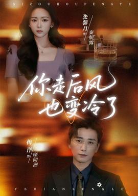 你走后风也变冷了封面图