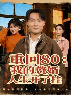 重回80我的赘婿人生开了挂封面图