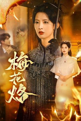 梅花烙封面图