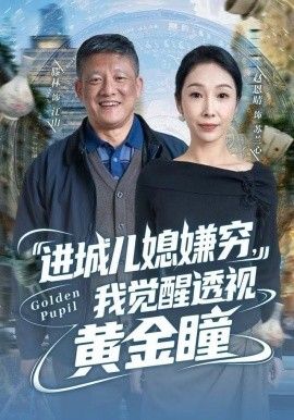 进城儿媳嫌穷，我觉醒透视黄金瞳封面图