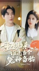 重生归来谁还当个冤种备胎封面图