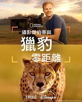 摄影师贝尔蒂与猎豹零距离封面图