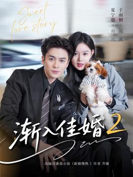 渐入佳婚2封面图