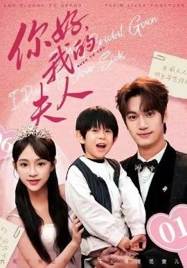 顾总，我才是你的夫人（你好，我的夫人）封面图