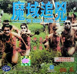 魔域追凶封面图