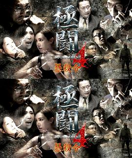 极斗4之暴杀令（国语）封面图