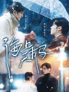 海上天鹅封面图