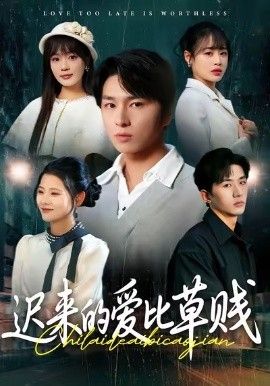 迟来的爱比草贱封面图