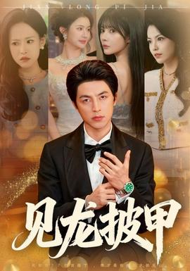 见龙披甲封面图