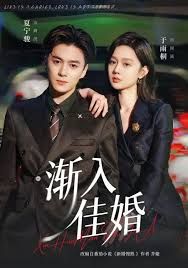 渐入佳婚第一部封面图