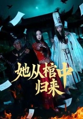 她从棺中归来封面图