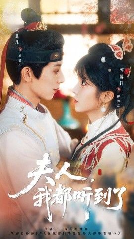夫人，我都听到了，夫人每天都想被休封面图