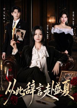 从此辞言赴盛夏封面图