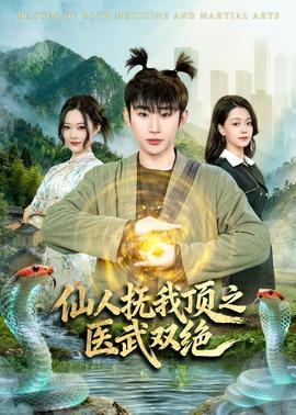 仙人抚我顶之医武双绝封面图