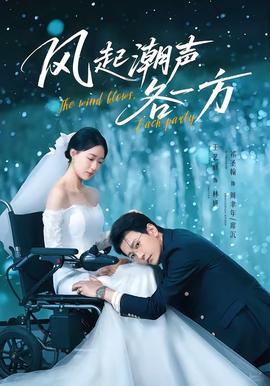 风起潮声各一方封面图