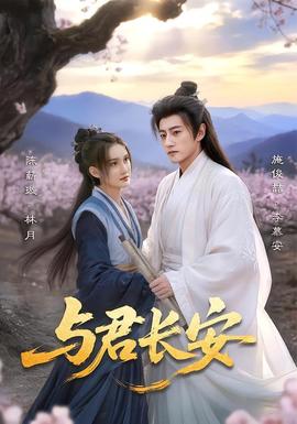 与君长安封面图