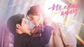 封总，太太跟你离婚很久了封面图