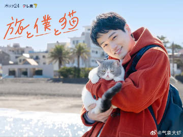 旅行和我和猫封面图