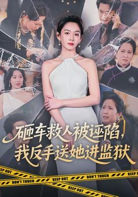砸车救人被诬陷，我反手送她进监狱封面图