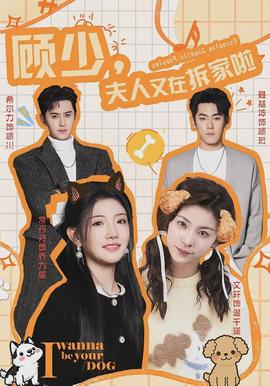 顾少，夫人又在拆家啦封面图