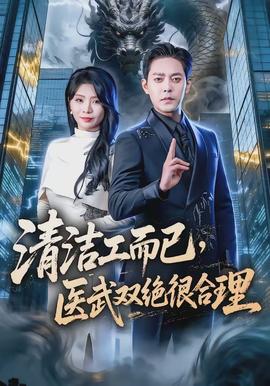 清洁工而已，医武双绝很合理封面图