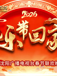 2026把乐带回家沈视春晚封面图
