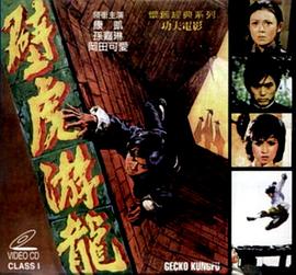 壁虎遊龍封面图