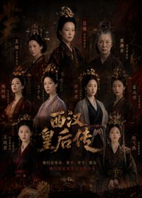 西汉皇后传封面图