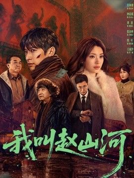 我叫赵山河封面图