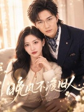 晚风不渡旧人封面图