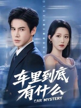 车里到底有什么封面图