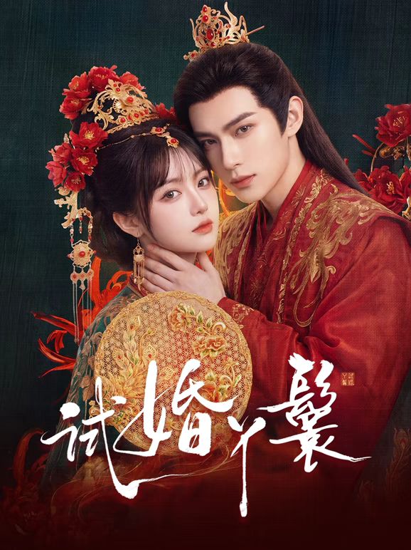 试婚丫鬟(2026)封面图
