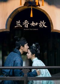 兰香如故封面图